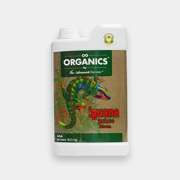 Iguana Juice Organic Bloom