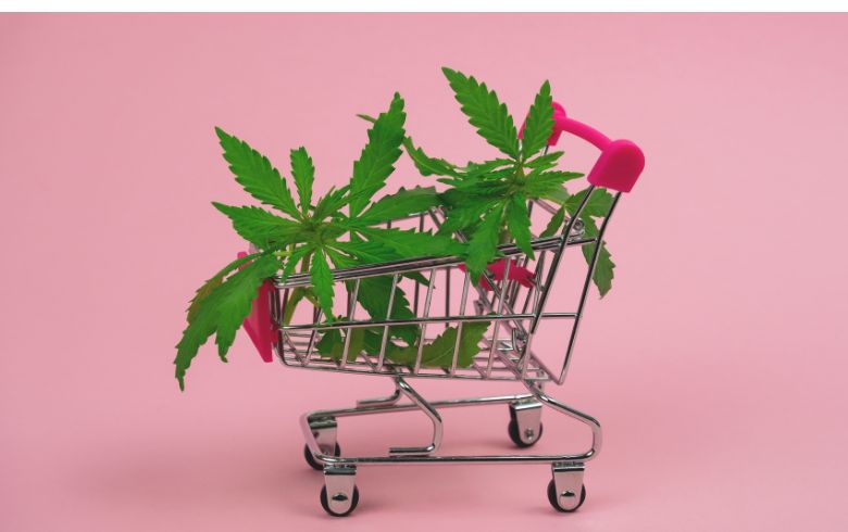 dónde comprar marihuana 780