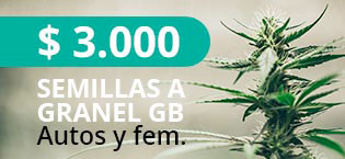 Semillas a Granel GB Autos y Feminizadas